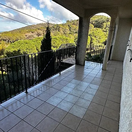 Maison Familiale A Port-vendres Avec Vue Imprenable Pour 6 Personnes - Fr-1-309-497 Port Vendres