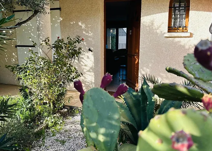 Maison Familiale A Port-vendres Avec Vue Imprenable Pour 6 Personnes - Fr-1-309-497 Port Vendres