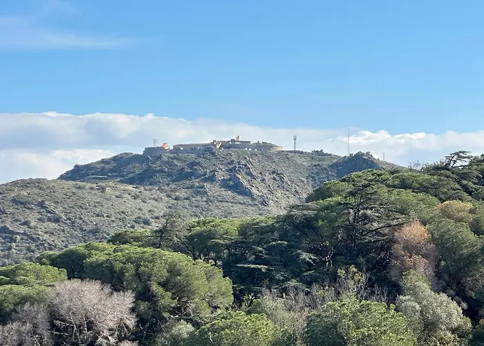 Ferienhaus Maison Familiale A Port-vendres Avec Vue Imprenable Pour 6 Personnes - Fr-1-309-497