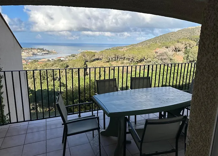 Hébergement de vacances Maison Climatisée Familiale à Port-vendres - Fr-1-309-497 Port Vendres