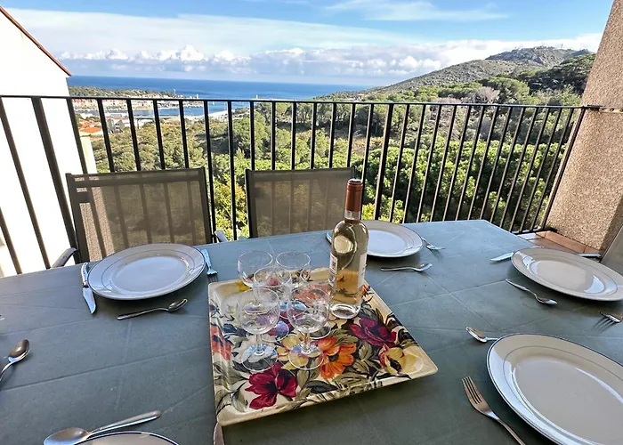 Maison Climatisée Familiale à Port-vendres - Fr-1-309-497 Hébergement de vacances